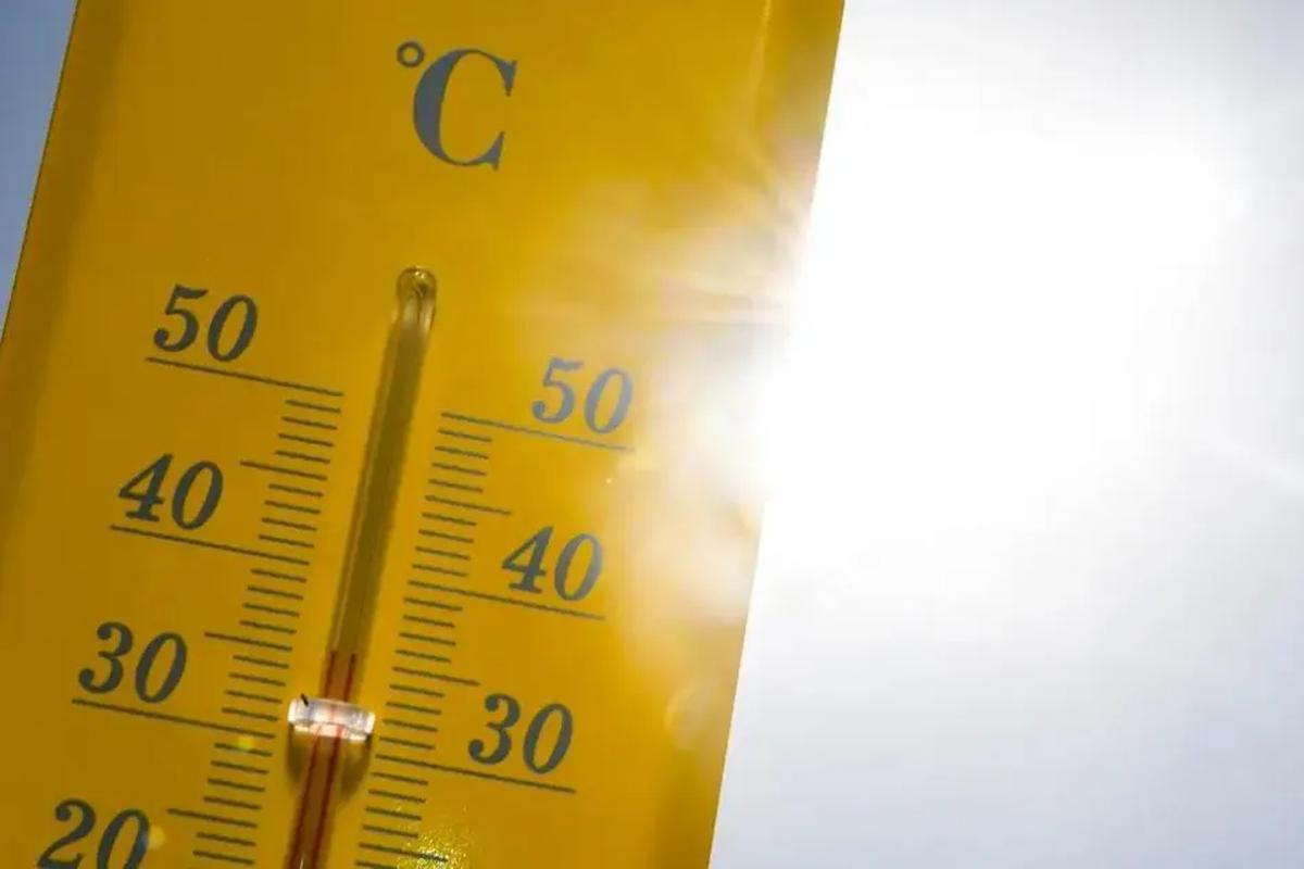 Canicule : l’addition cachée qui risque de peser sur l’économie française
